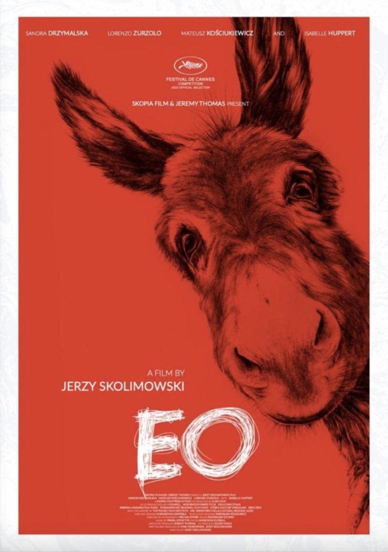 Cartel película EO