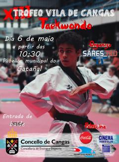 Cartel XIII Trofeo Vila de Cangas de Taekwondo