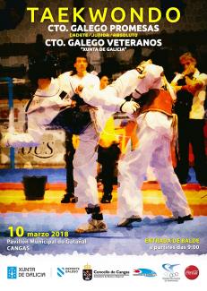Cartel Campionato galego Promesas de Taekwondo