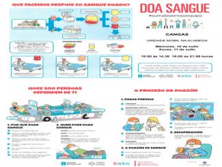 O proceso de doazón de sangue