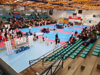 Campionato Galego Promesas e Veteranos de Taekwondo