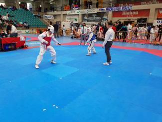 Campionato Galego Promesas e Veteranos de Taekwondo