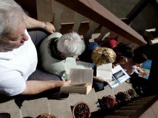 Medrando entre libros