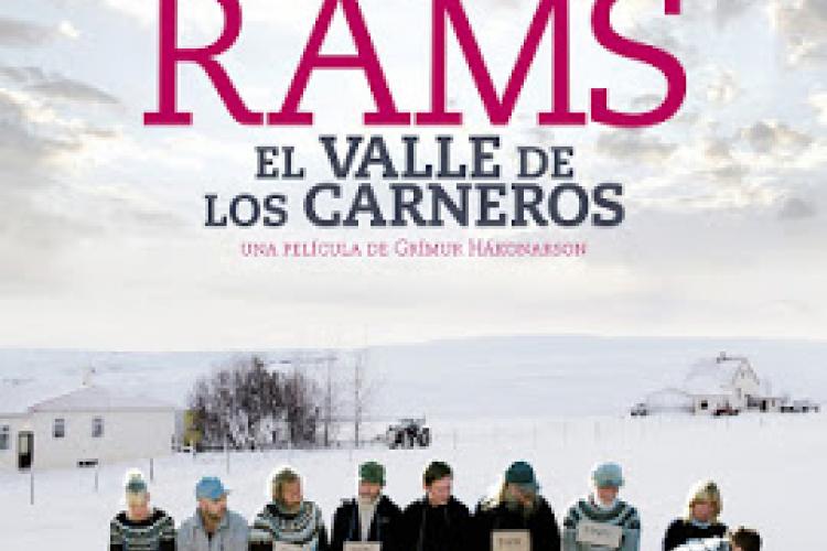 CINE CLUB CANGAS proxecta: RAMS, O VAL DOS CARNEIROS